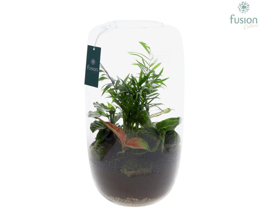 Green Bottle Isabella XXLarge met Groene Planten 43cm 23cm Pot