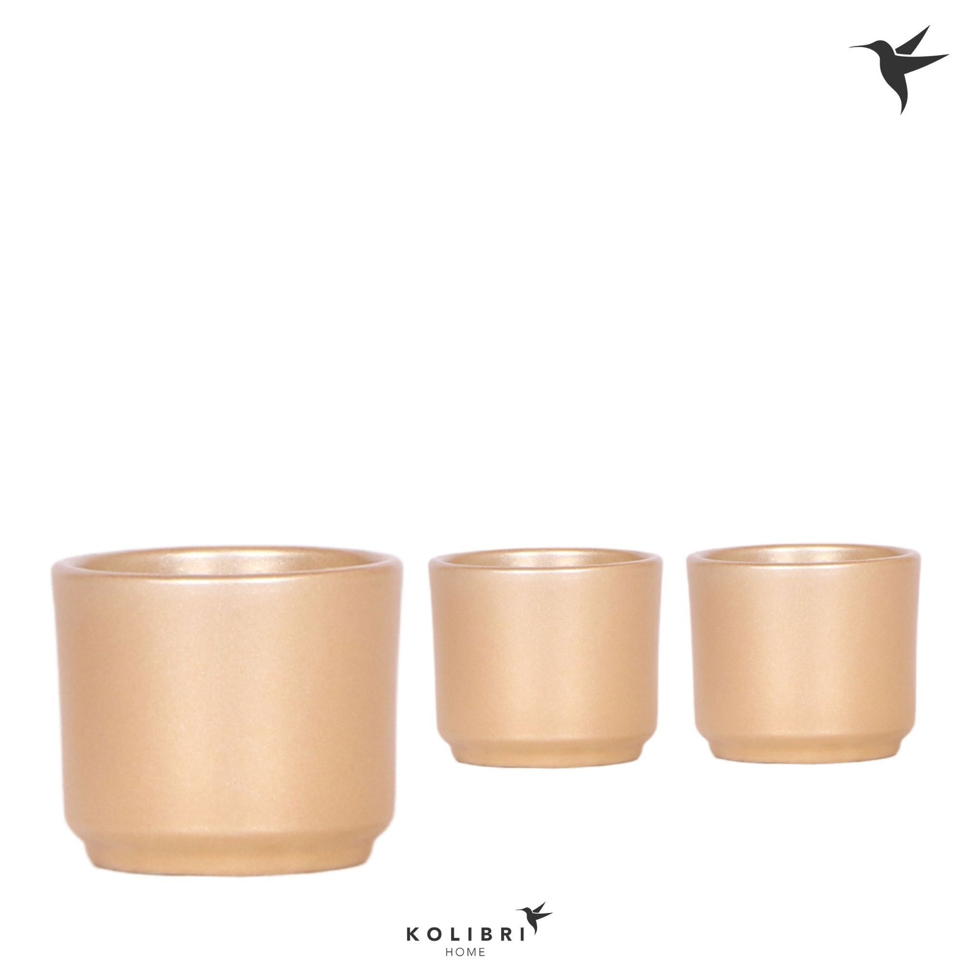 OK Plant Kolibri Home Simplicity pot gold Pack of 12