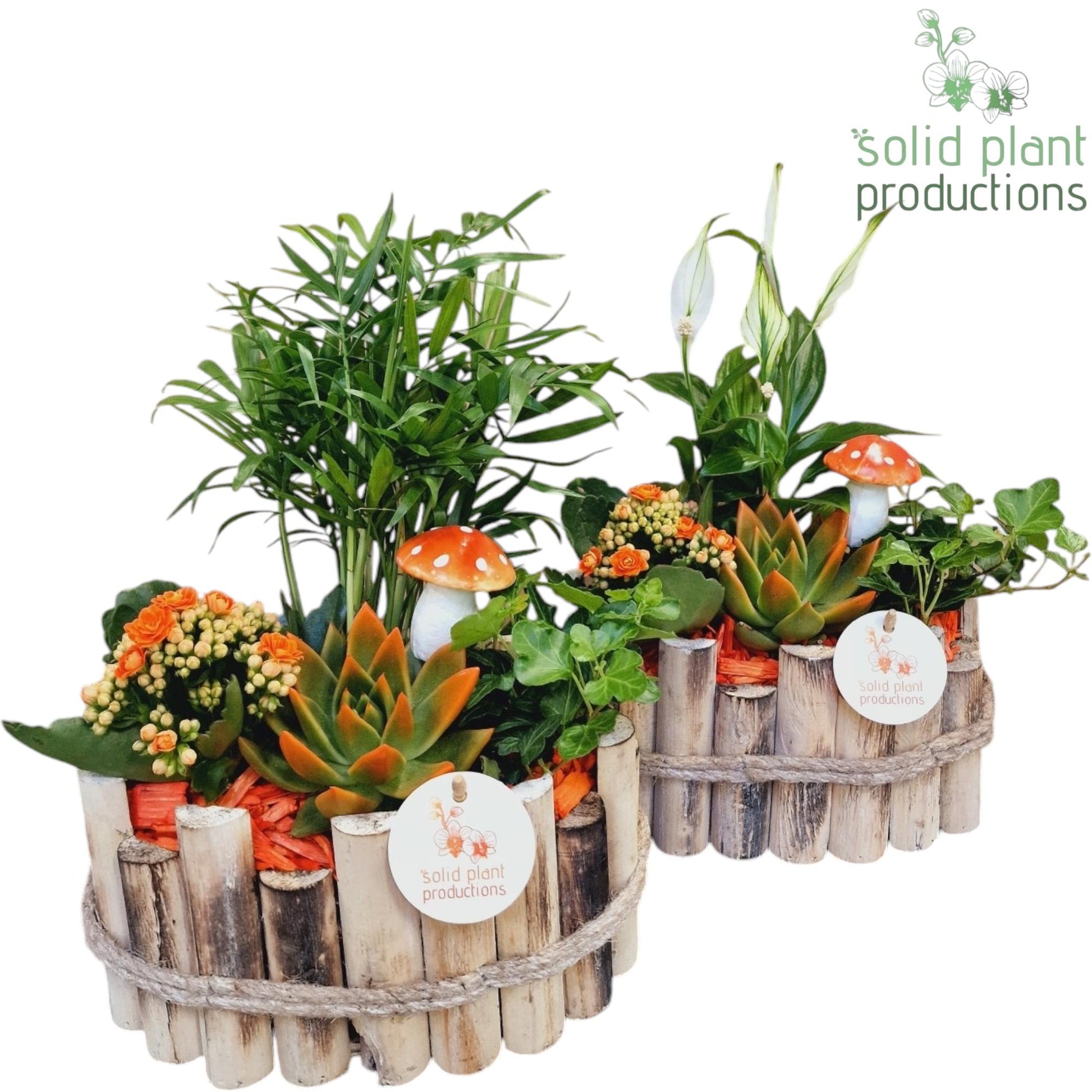 HSCE003 Bologna Small Autumn Orange 35cm 23cm Pot