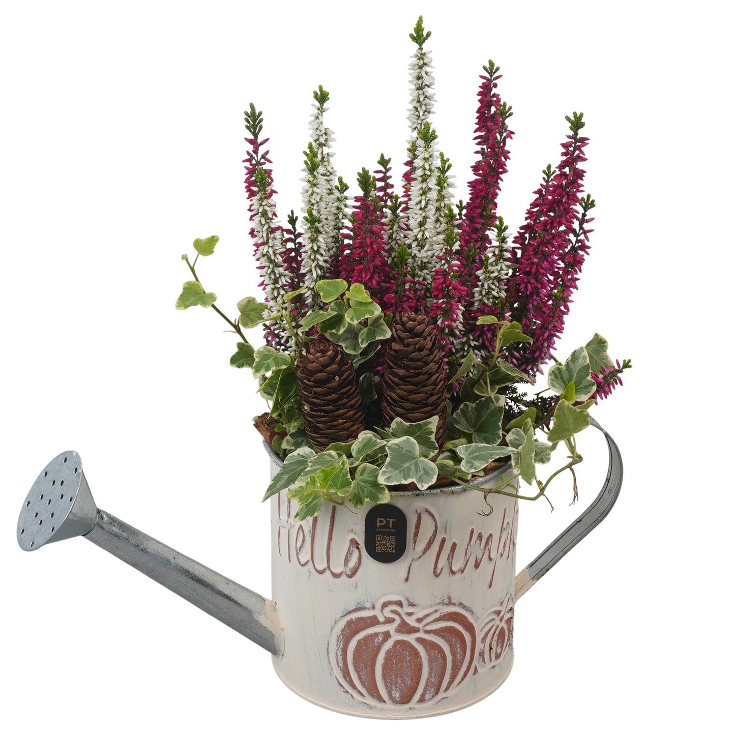 Outdoor arrangement 31cm 12cm Pot