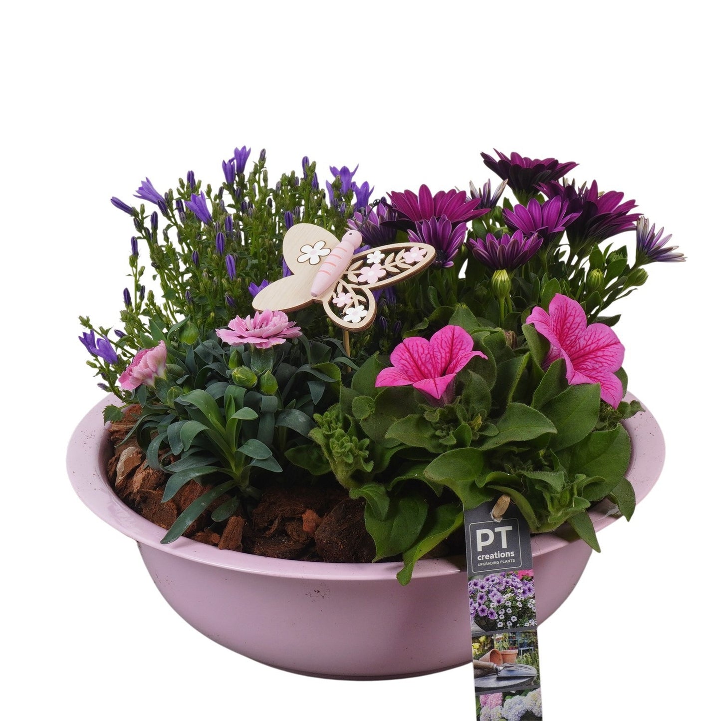arr. PM196 25cm 30cm Pot