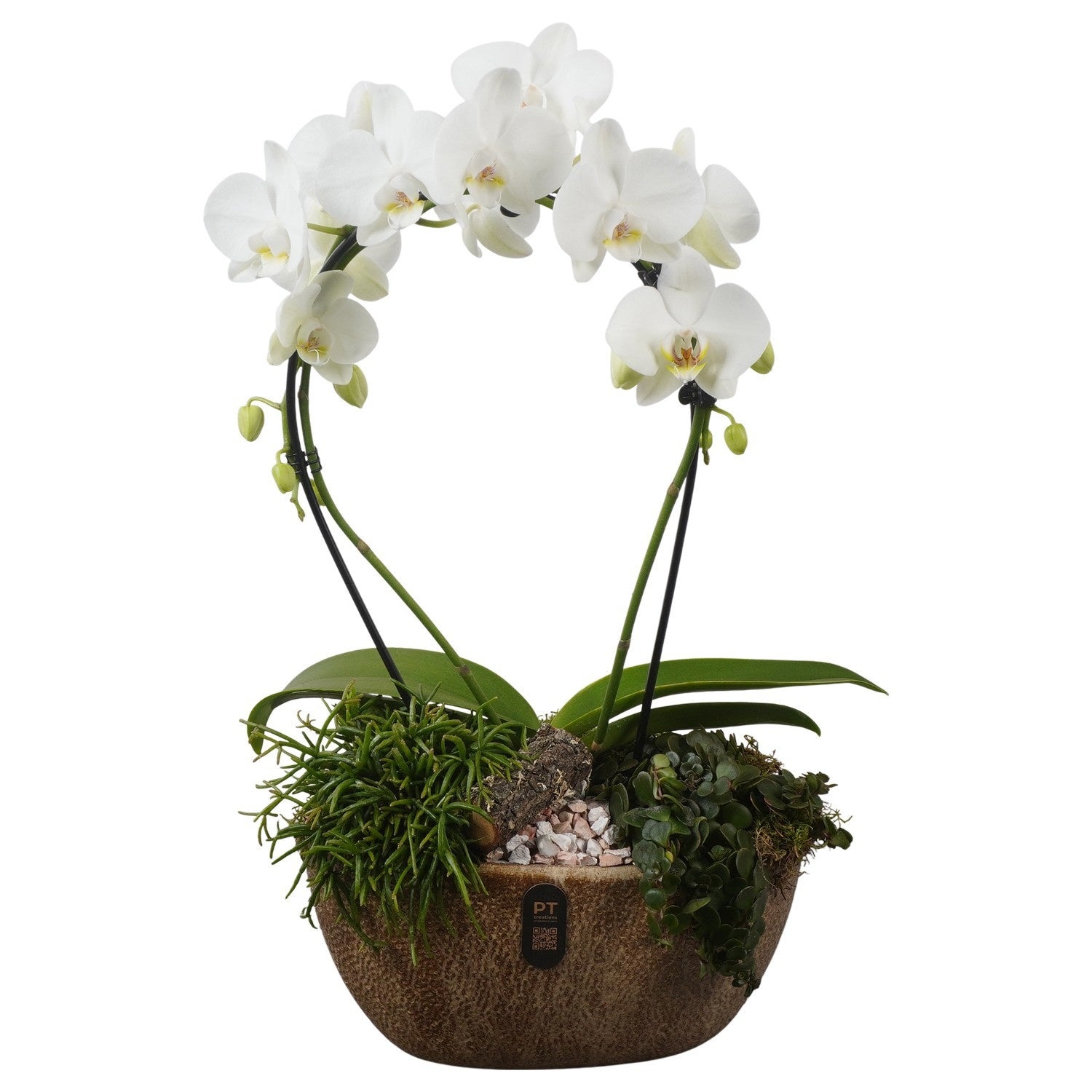 Indoor arrangement 60cm 28cm Pot
