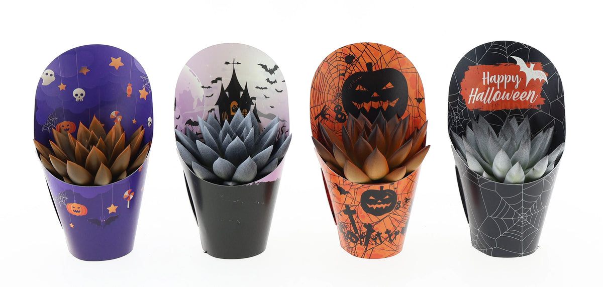 Potcover halloween rainbow bicolor 10cm 8.5cm Pot