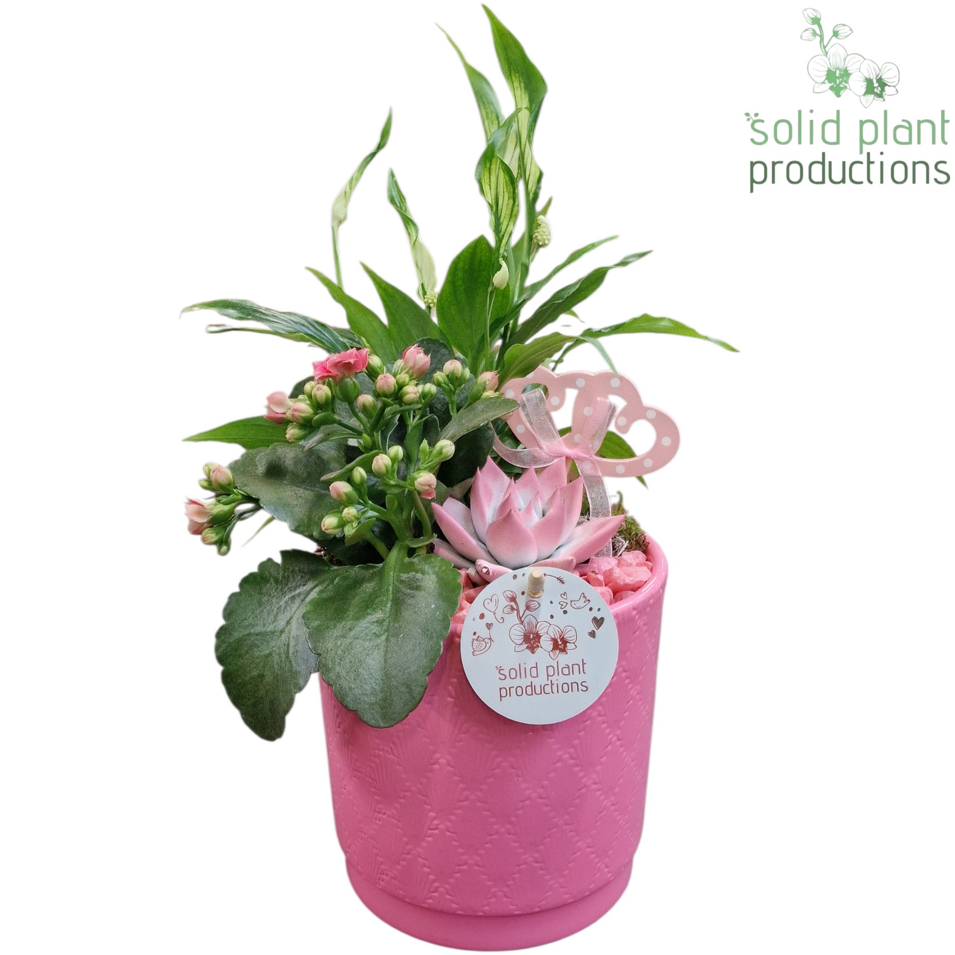 SE001 Amy Pink VM 35cm 13cm Pot