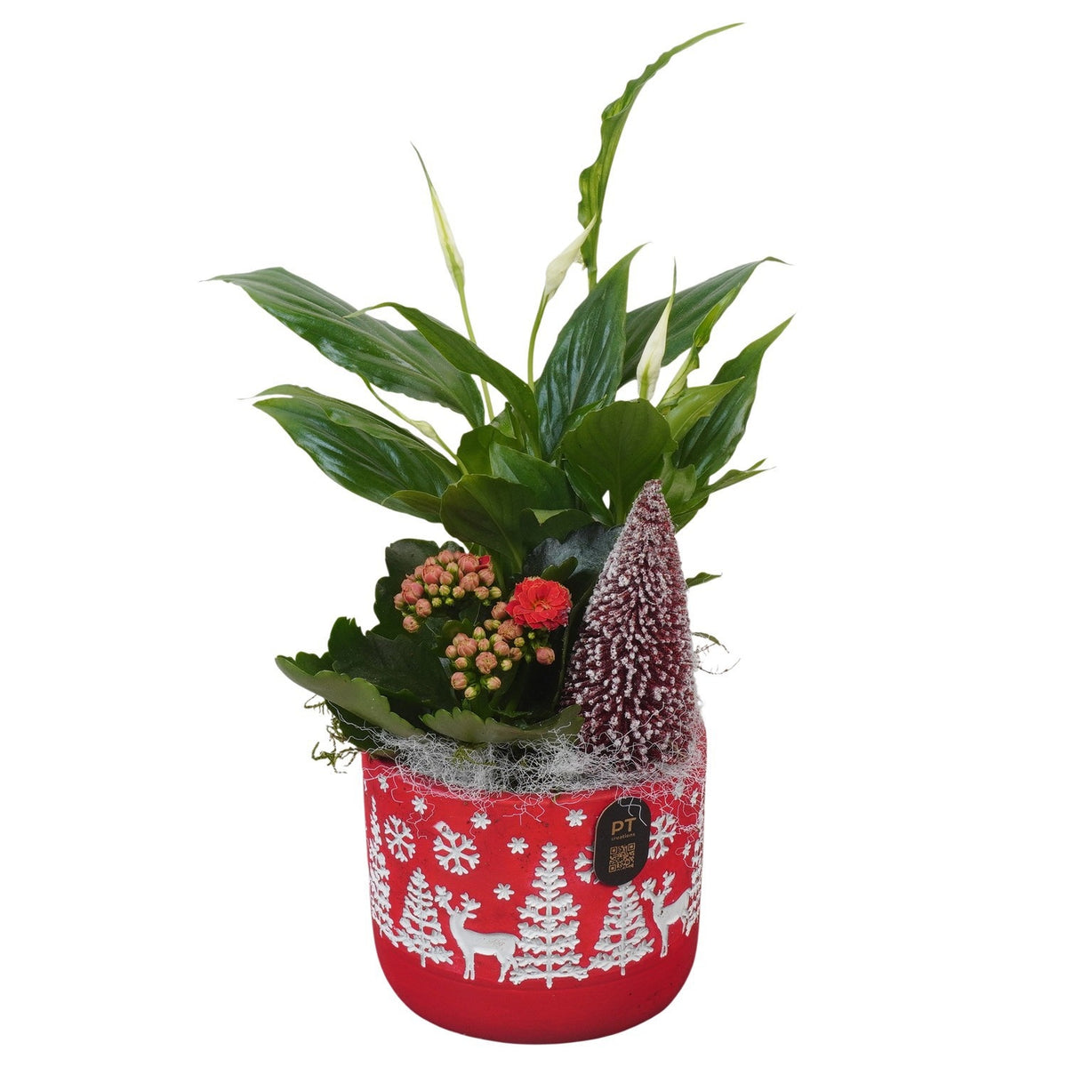 Christmas arrangement 31cm 11cm Pot