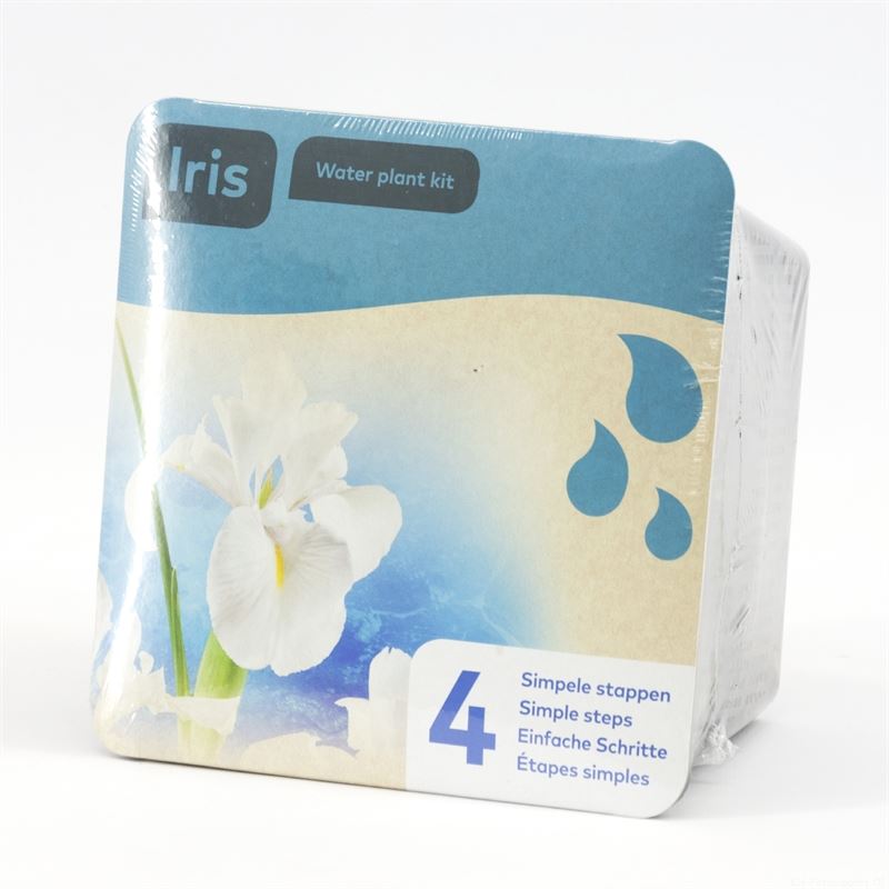 Waterplkw R. Moerings Iris laevigata Snowdrift Pack of 7