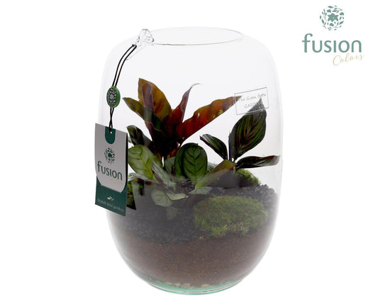 Green BottleIsabella Large met groene planten 25cm 19cm Pot