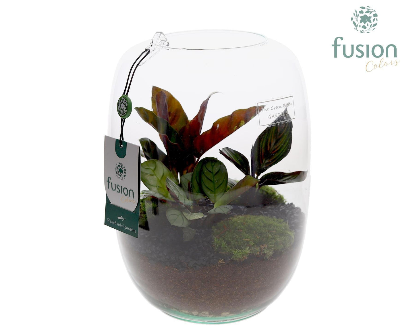 Fusioncolors BV Green Bottle Isabella Large met groene planten Pack of 2