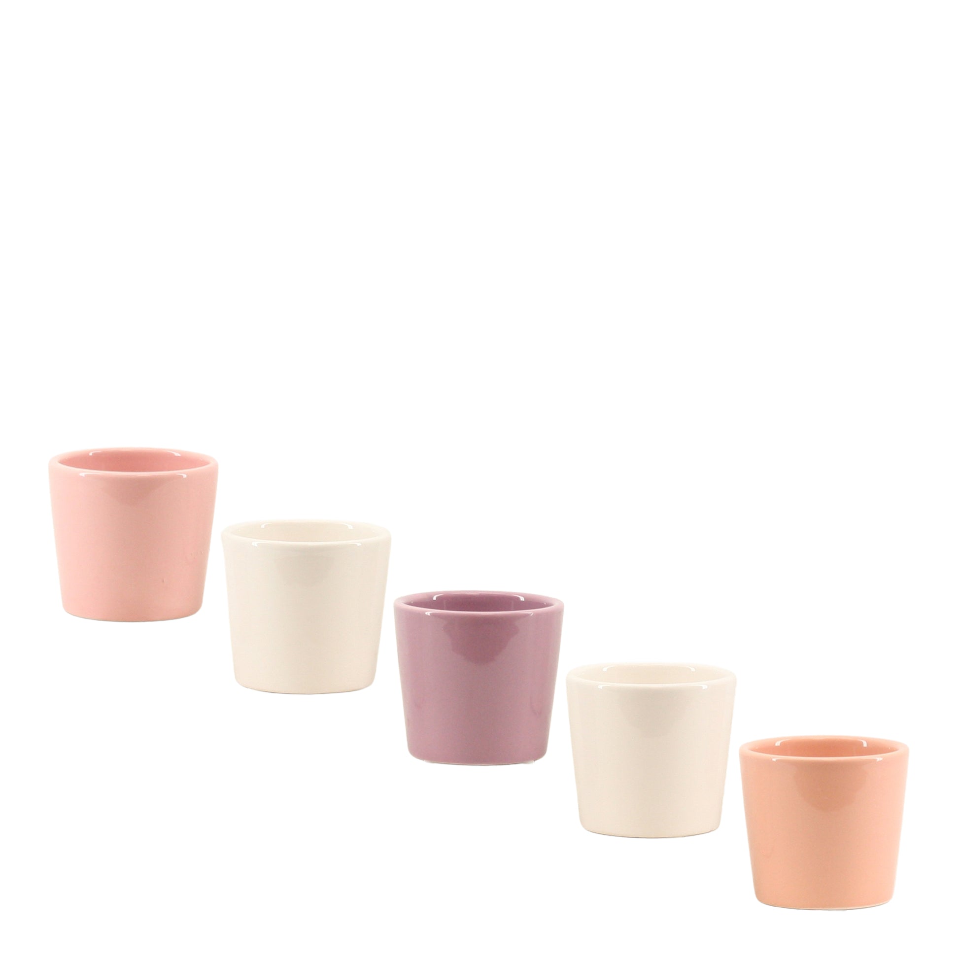 Duijn-Hove BV, kwekerij Pottery Pack of 15