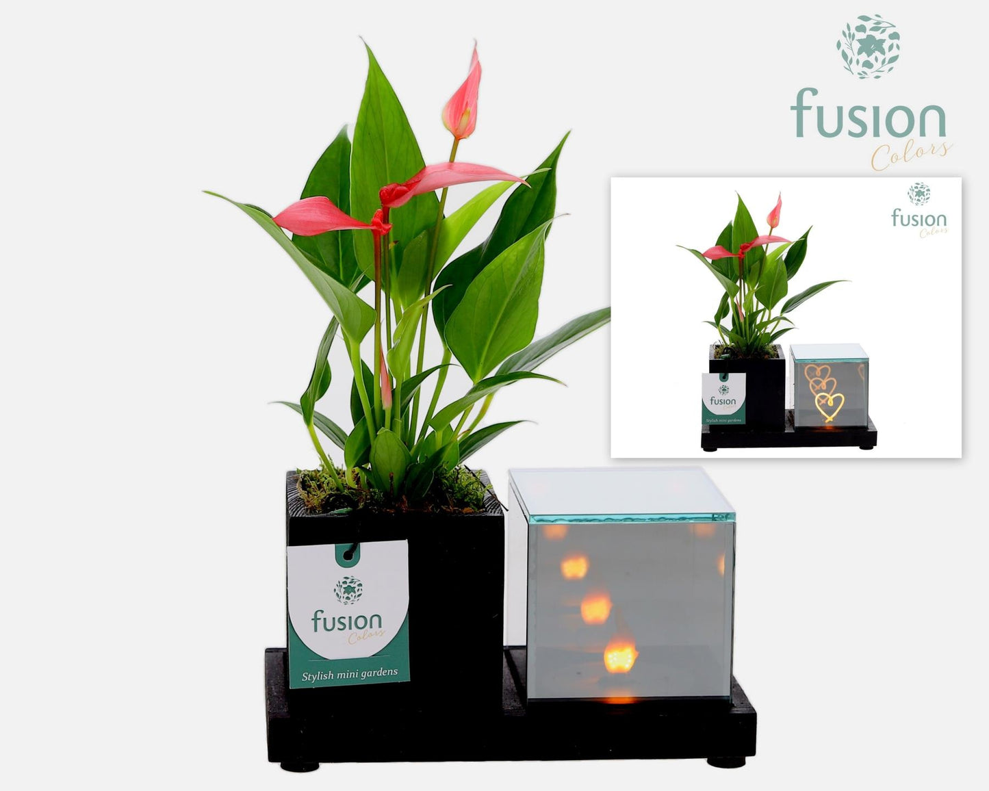 Houten Elegant LED planter met Anthurium 25cm 19cm Pot