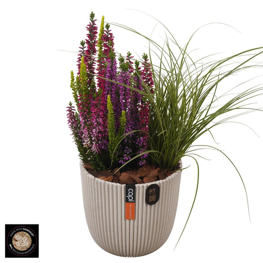 Outdoor arrangement 32cm 13cm Pot
