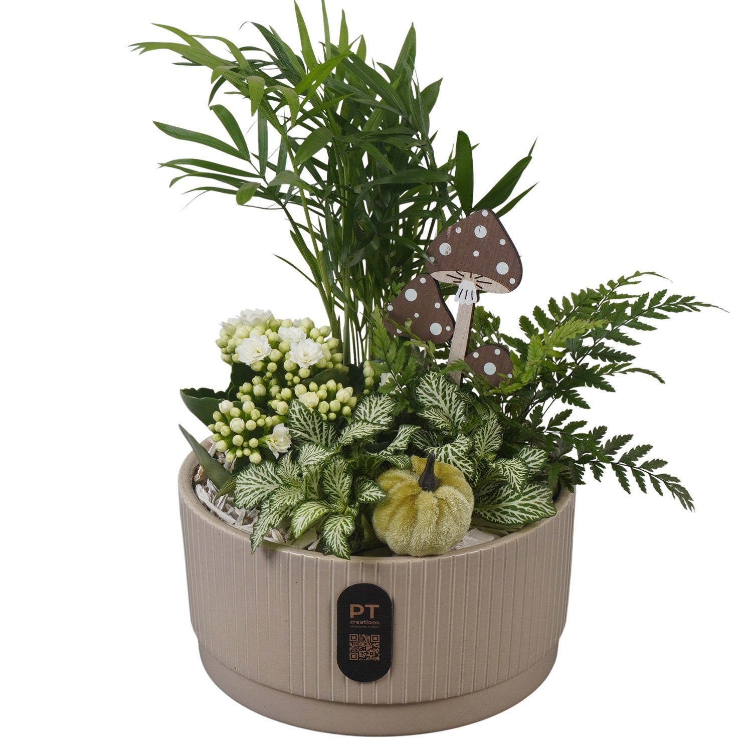 Indoor arrangement 31cm 19cm Pot