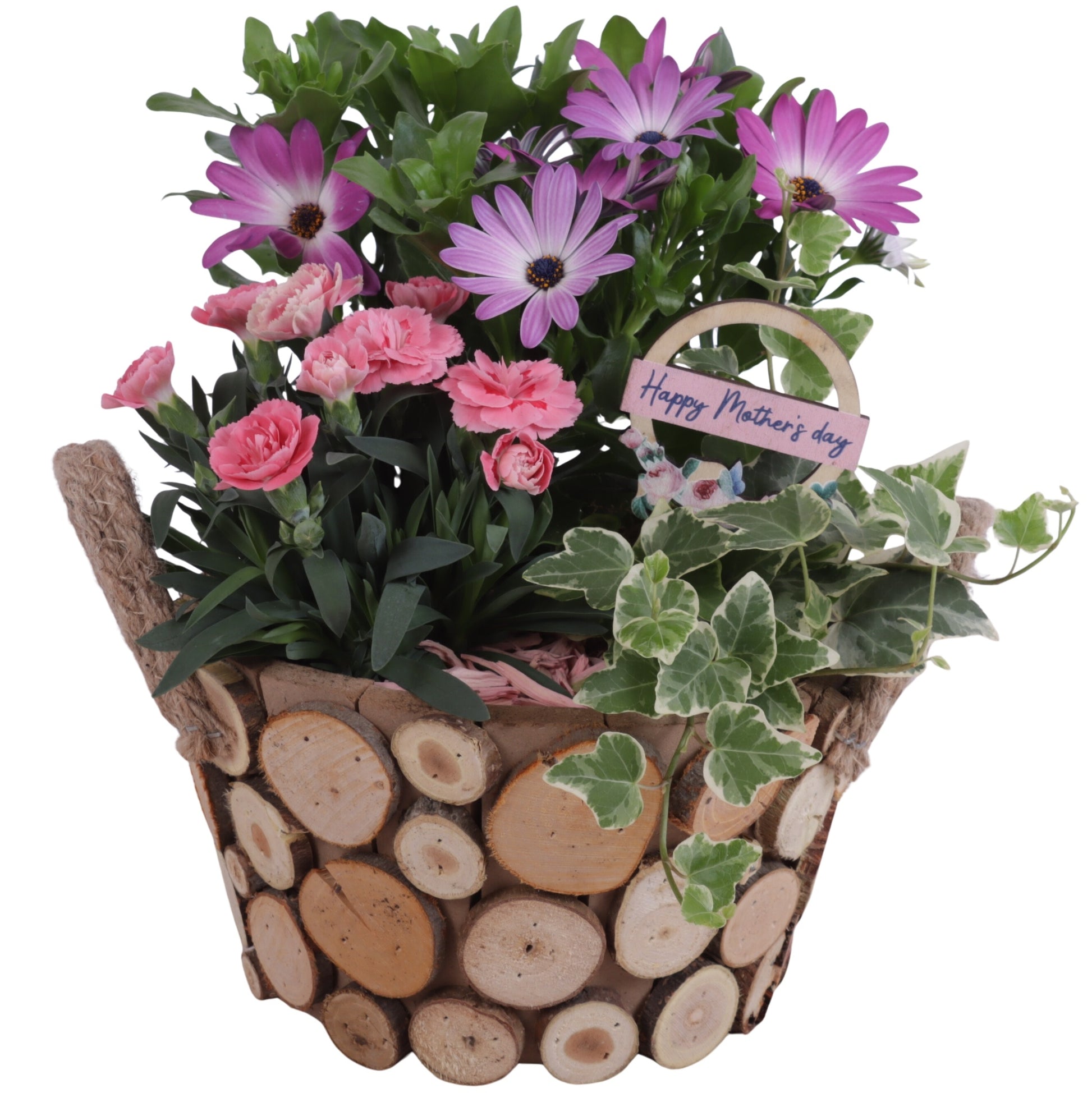 Outdoor arrangement 30cm 22cm Pot