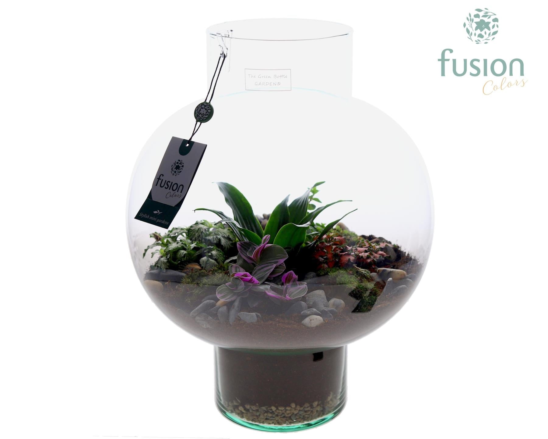 Fusioncolors BV Green Bottle Laura Large met arrangement 5pp Pack of 1
