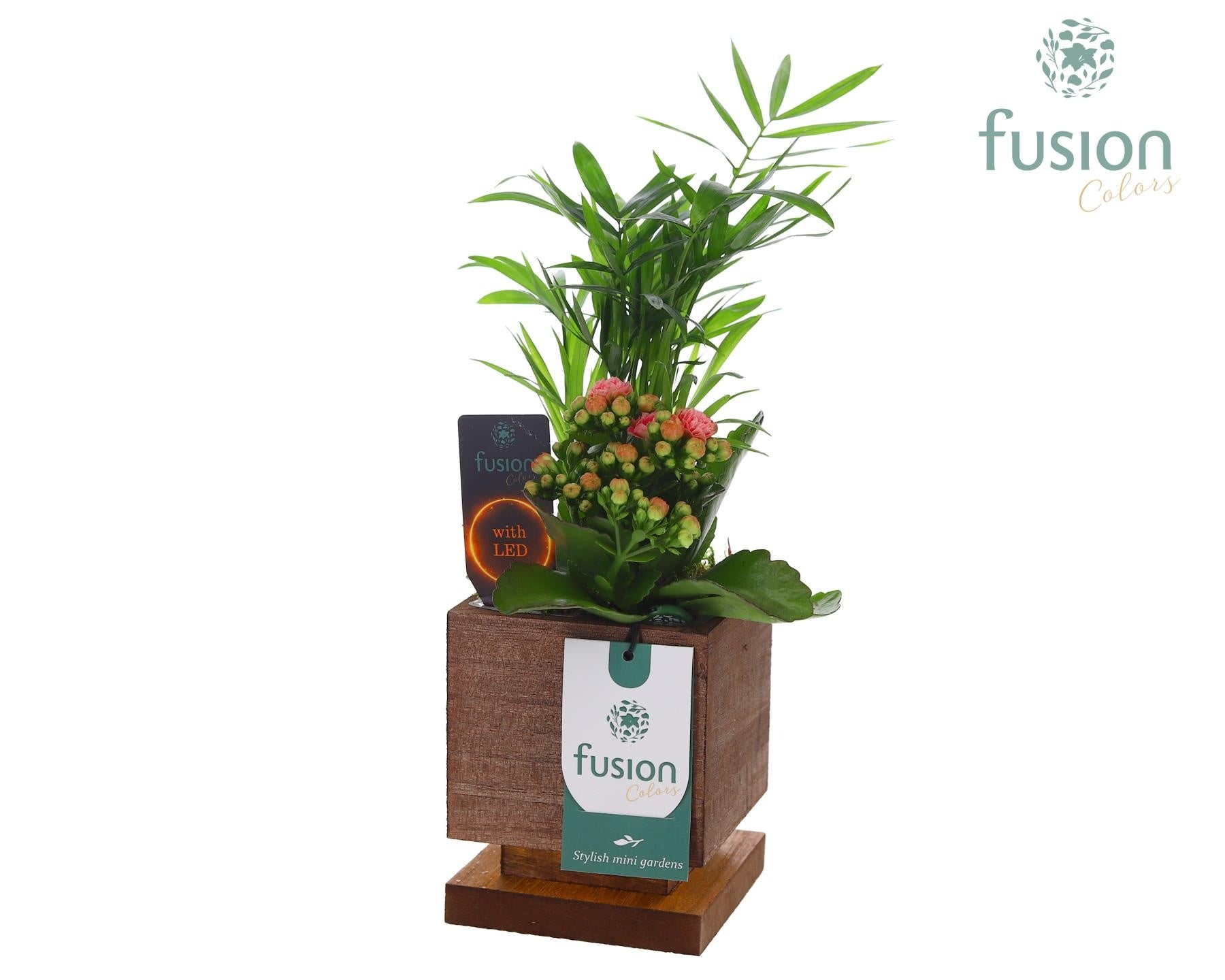 Fusioncolors BV The Green Lighting Garden LED Small met Arrangement 2pp Pack of 15