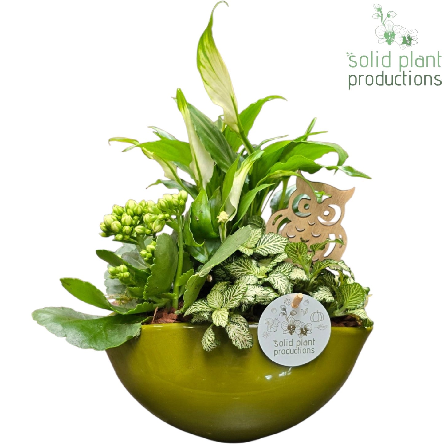 SP005 Evelyn Green White 40cm 22cm Pot
