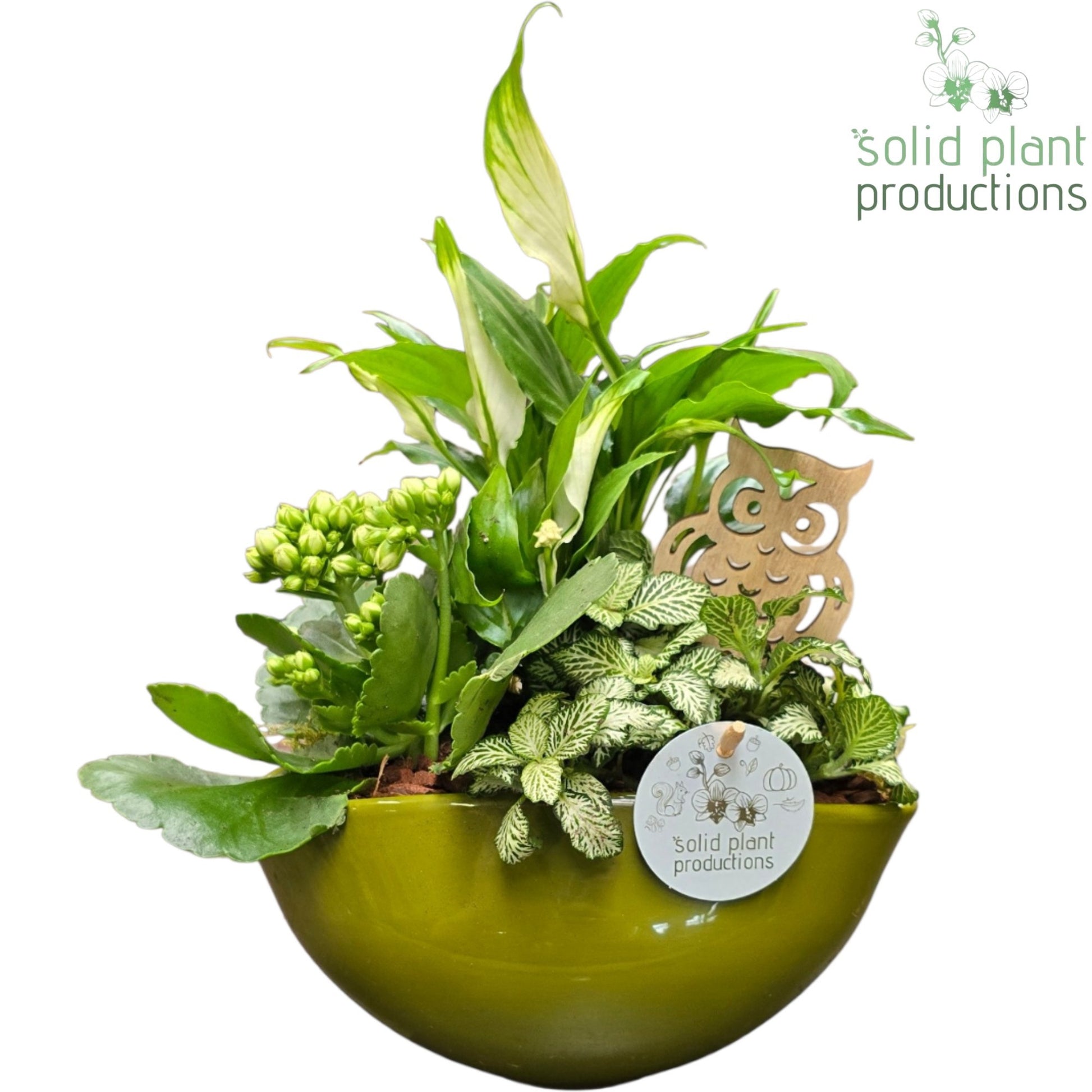 SP005 Evelyn Green White 40cm 22cm Pot