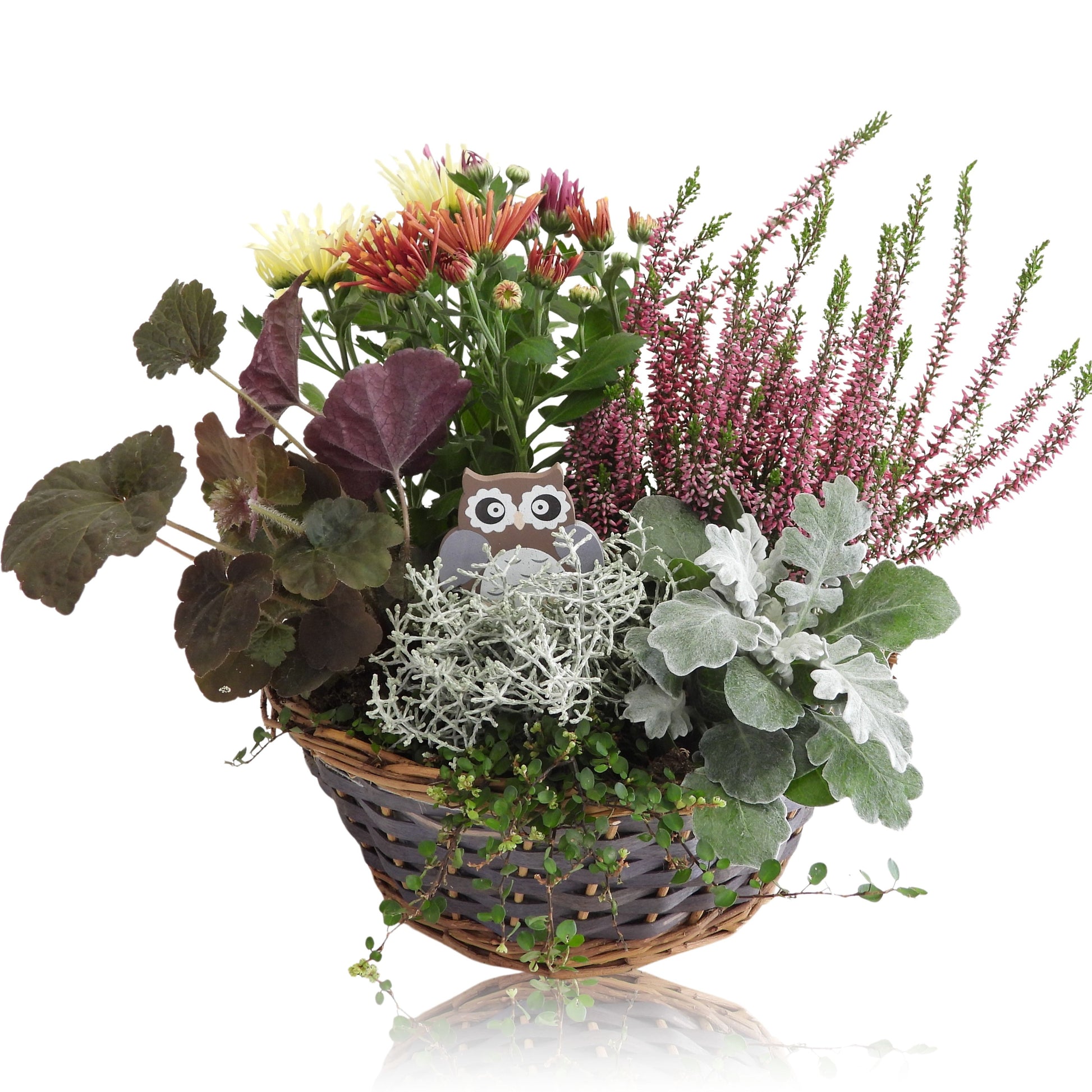 RS Potplants Outdoor arrangement Pack of 14
