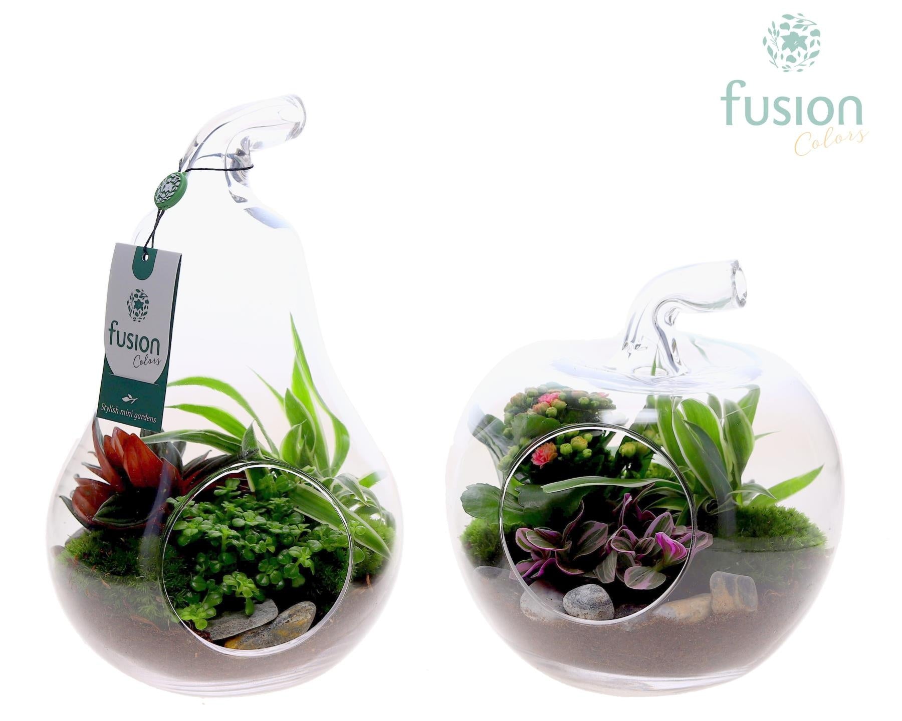 Glas Appel en Peer met arrangement 3pp 29cm 18cm Pot