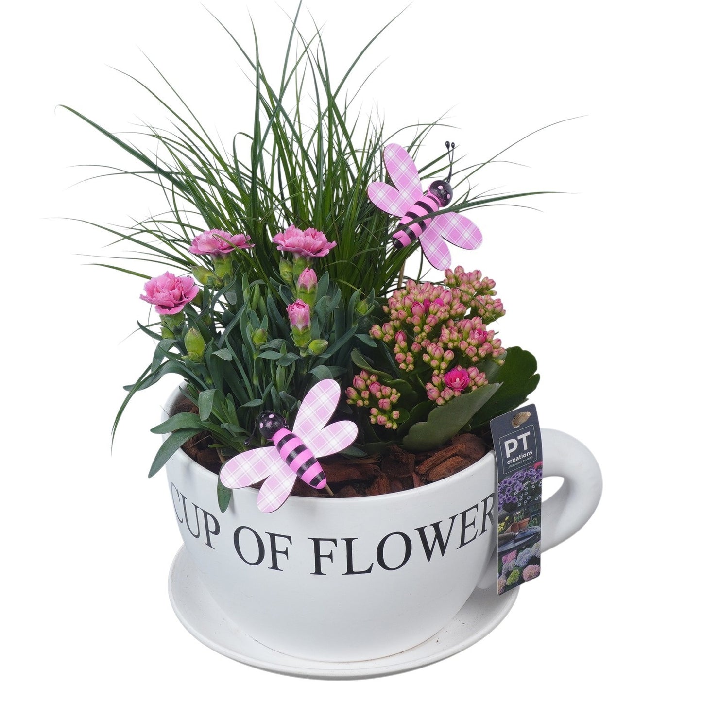 arr. PM196 36cm 24cm Pot