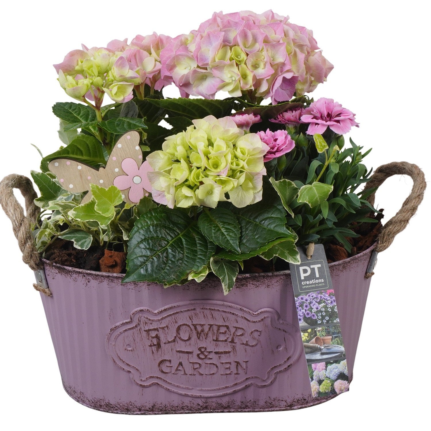 arr. PM196 30cm 28cm Pot