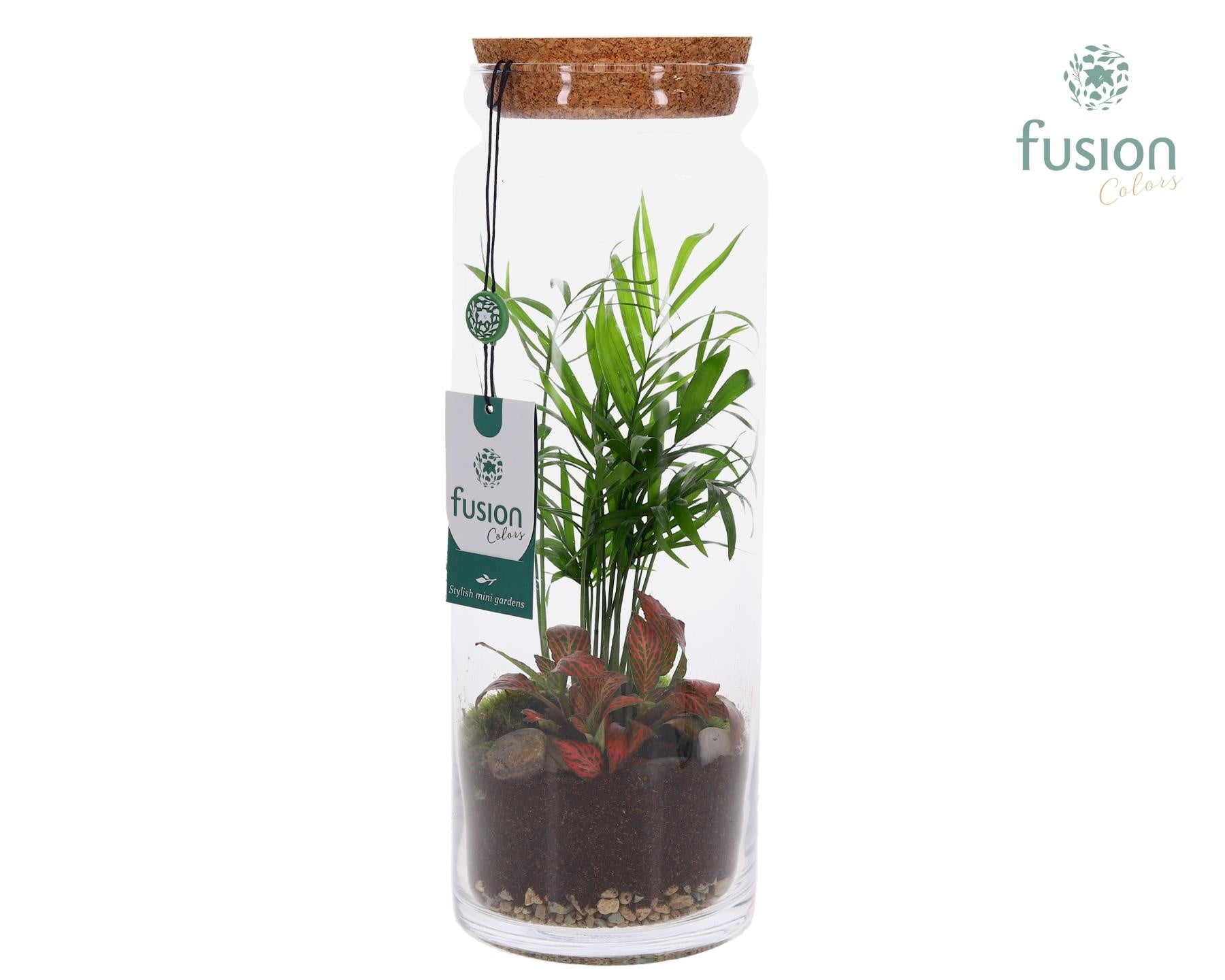 Glazen vaas met Terrarium arrangement 35cm 12cm Pot