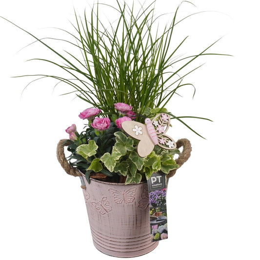 Outdoor arrangement 43cm 15cm Pot