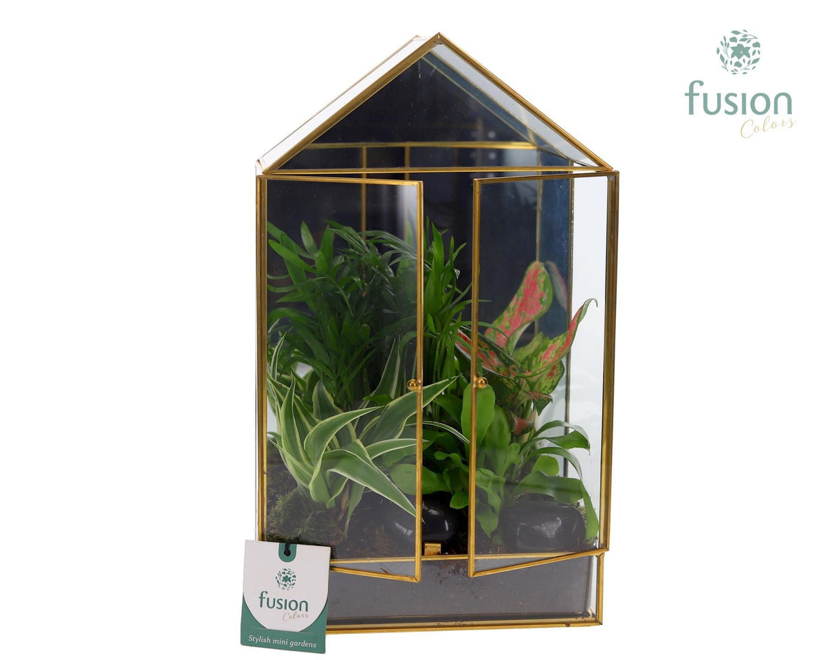 Geometrische plantenbak met arrangement 4pp 29cm 21cm Pot