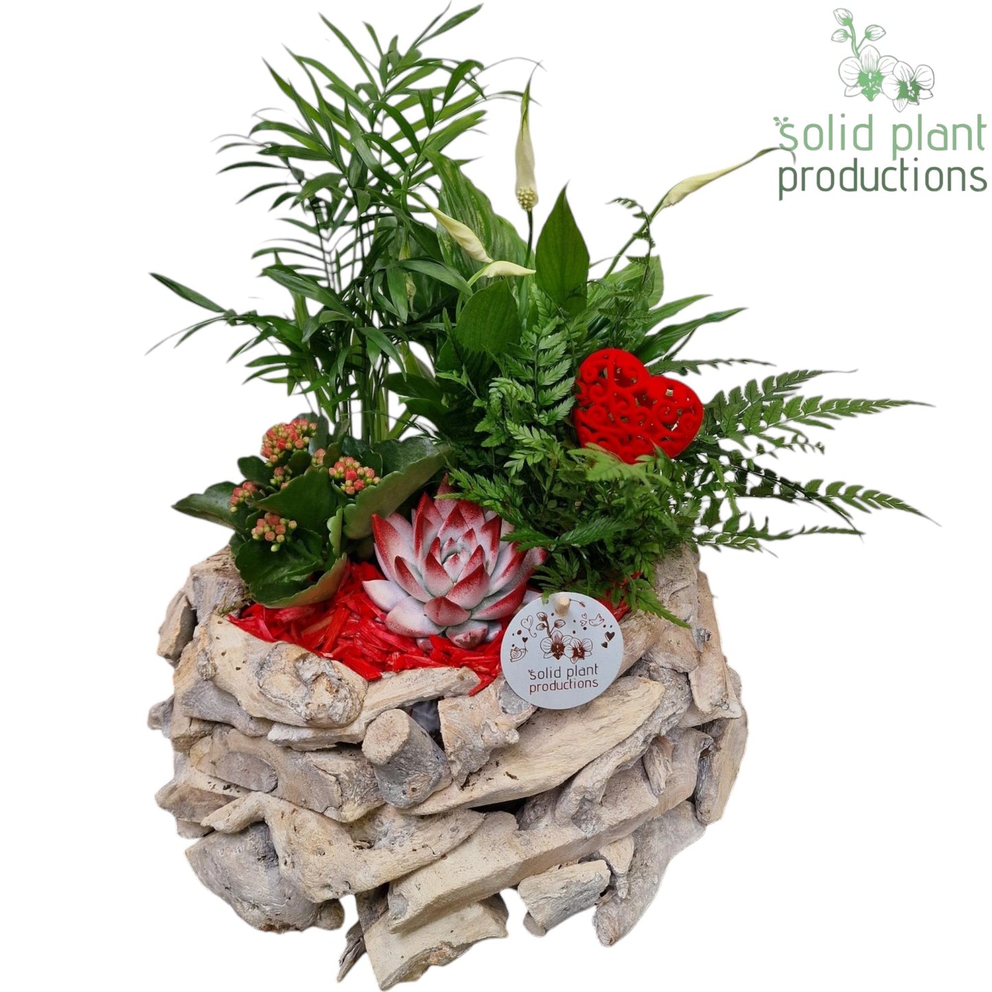 SCE013 Driftwood Round White Washed Red Love 45cm 31cm Pot