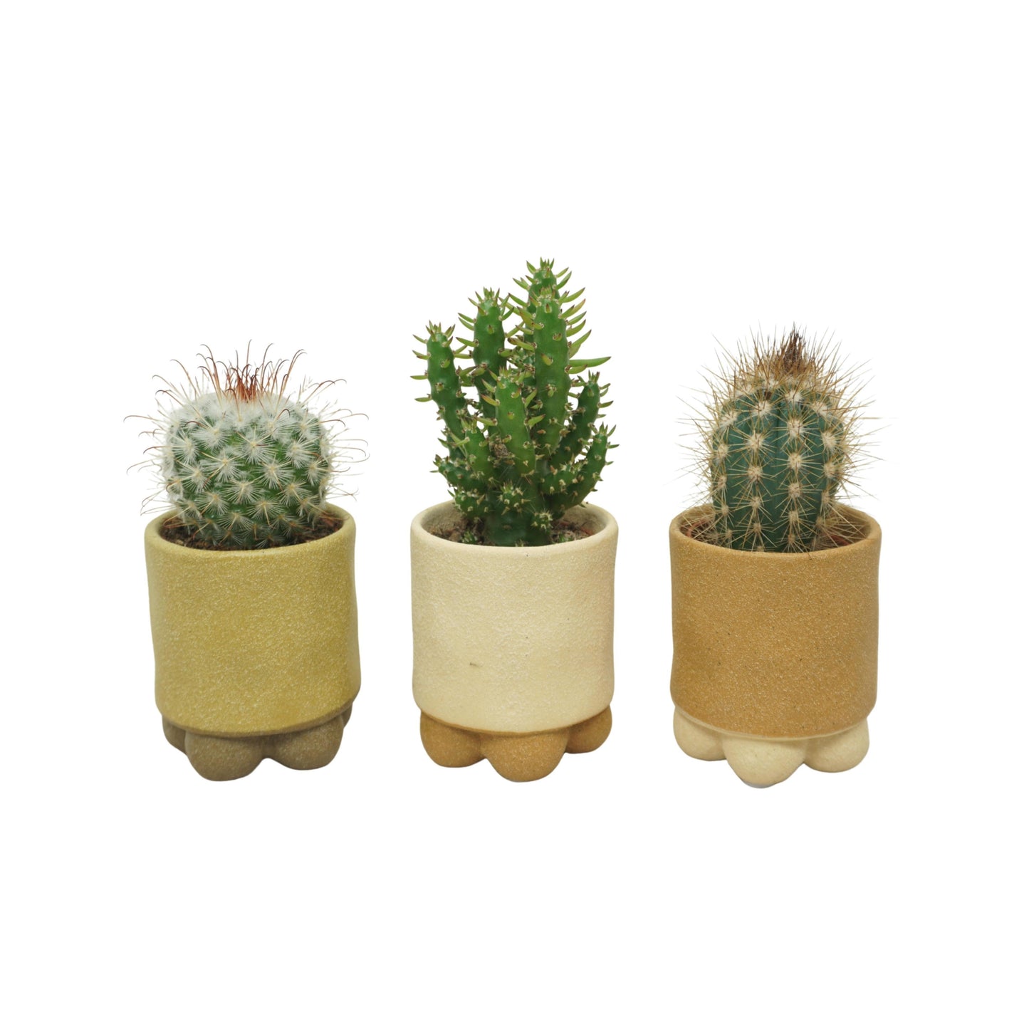 Ceramicpottery 10cm 505cm Pot