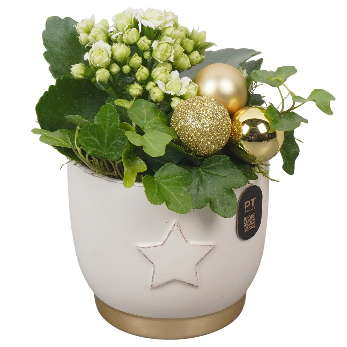 Christmas arrangement 18cm 11cm Pot
