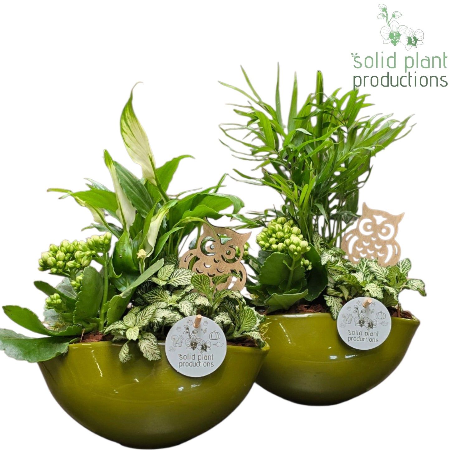 SC005 Evelyn Green White Mix 40cm 22cm Pot