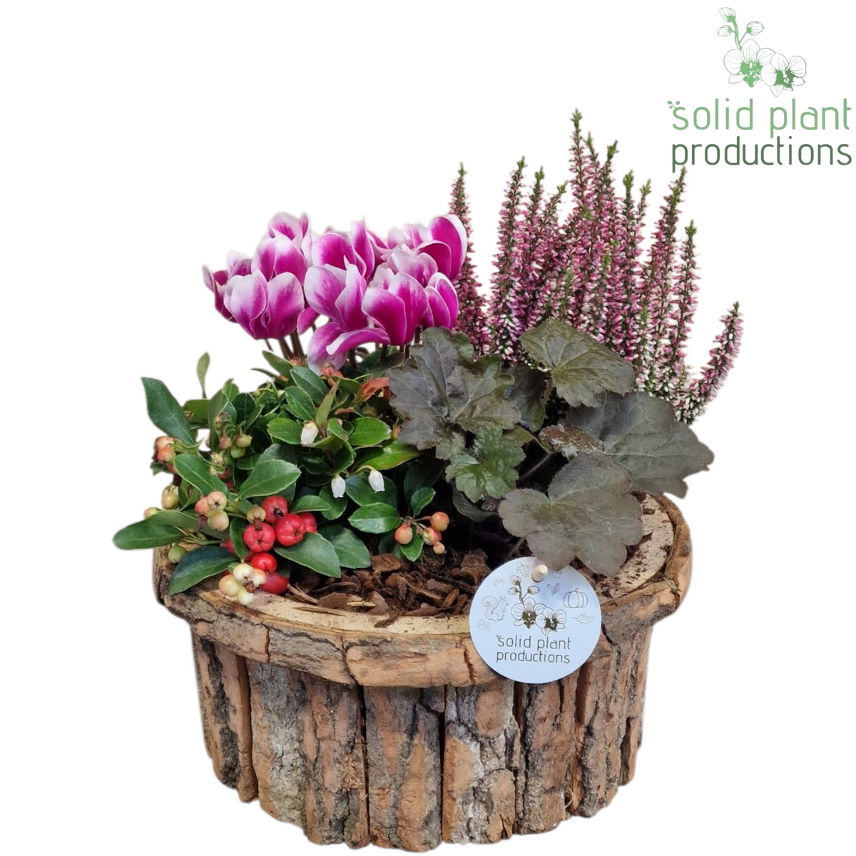 Outdoor arrangement 38cm 27cm Pot