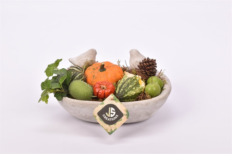 arr. Sierfruit 25cm Pot