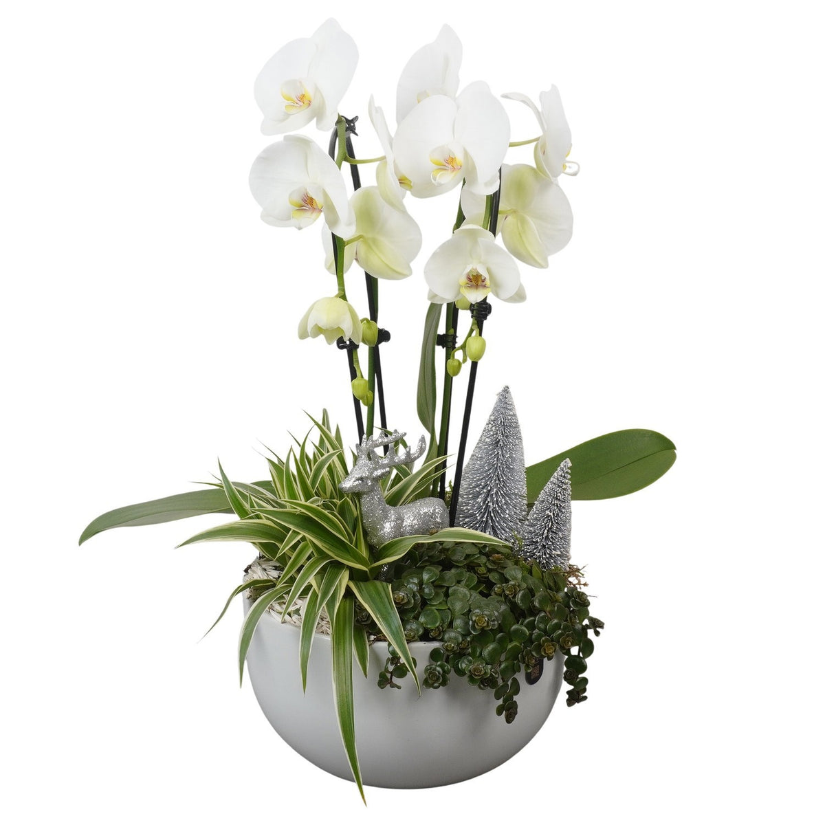 Christmas arrangement 55cm 26cm Pot
