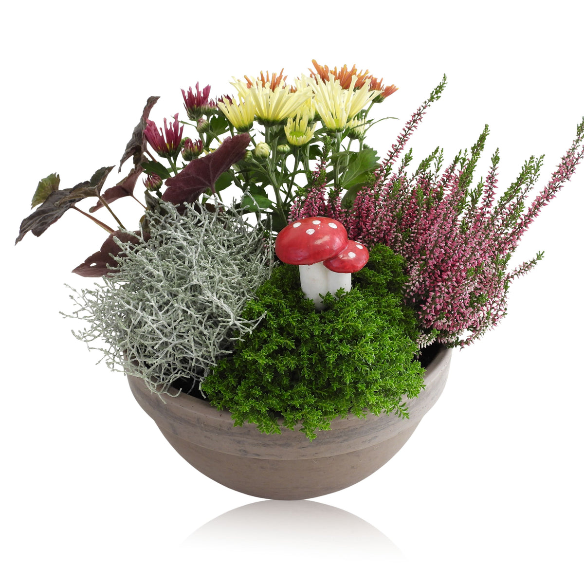 Outdoor arrangement 20cm 20cm Pot