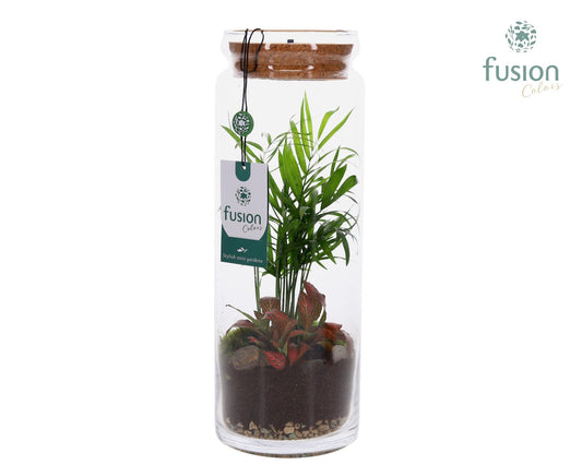 Glas Cilinder vaas met Terrarium arrangement met LED 35cm 12cm Pot