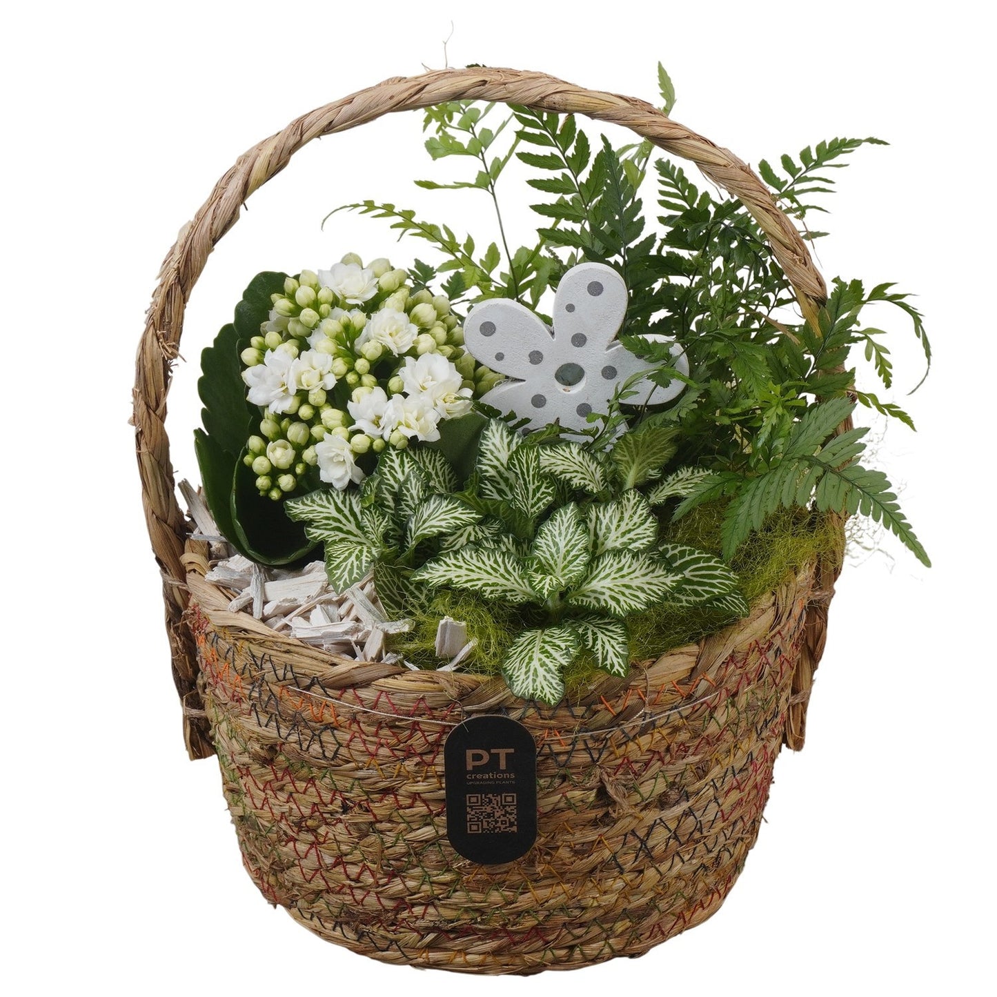 Indoor arrangement 26cm 18cm Pot