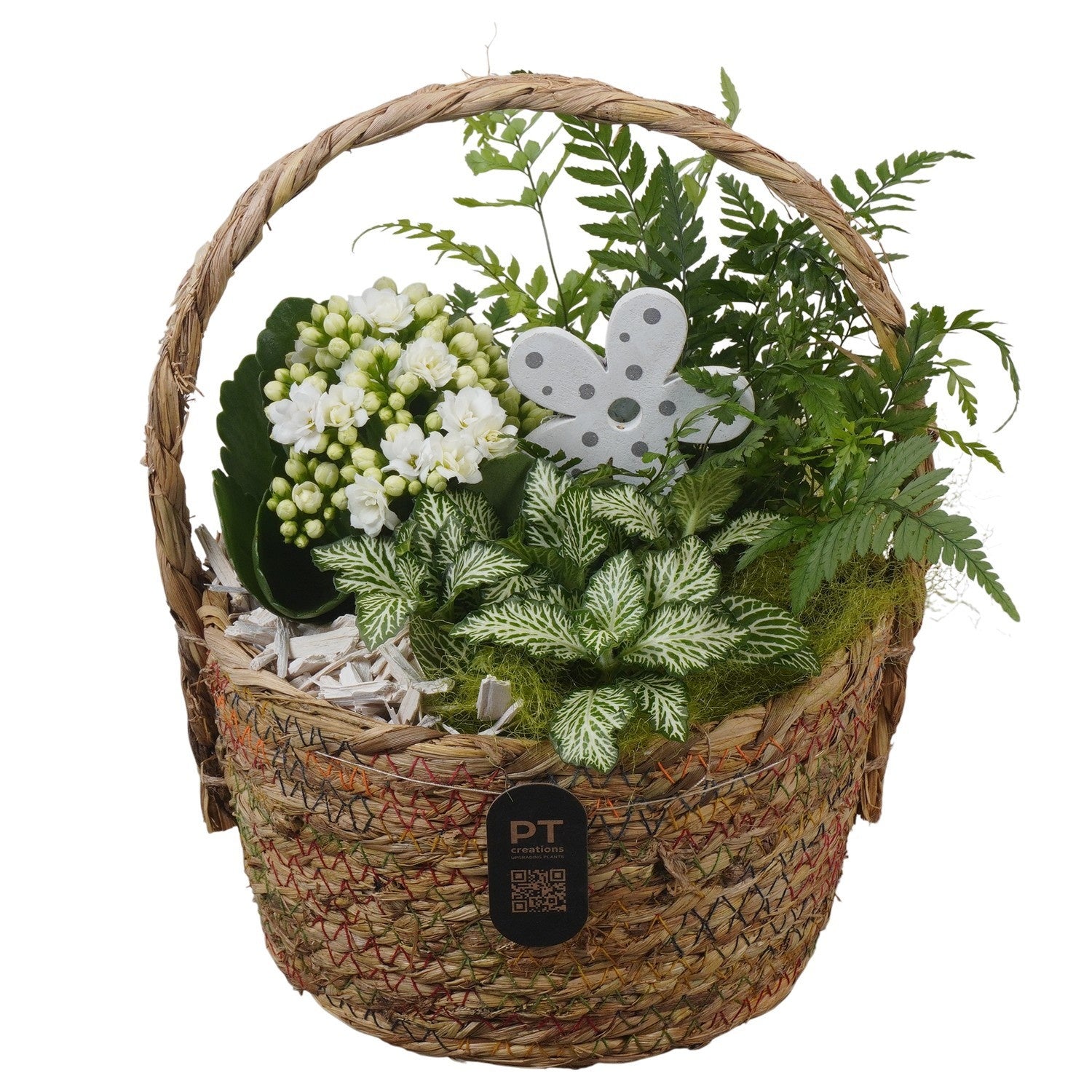 Indoor arrangement 26cm 18cm Pot