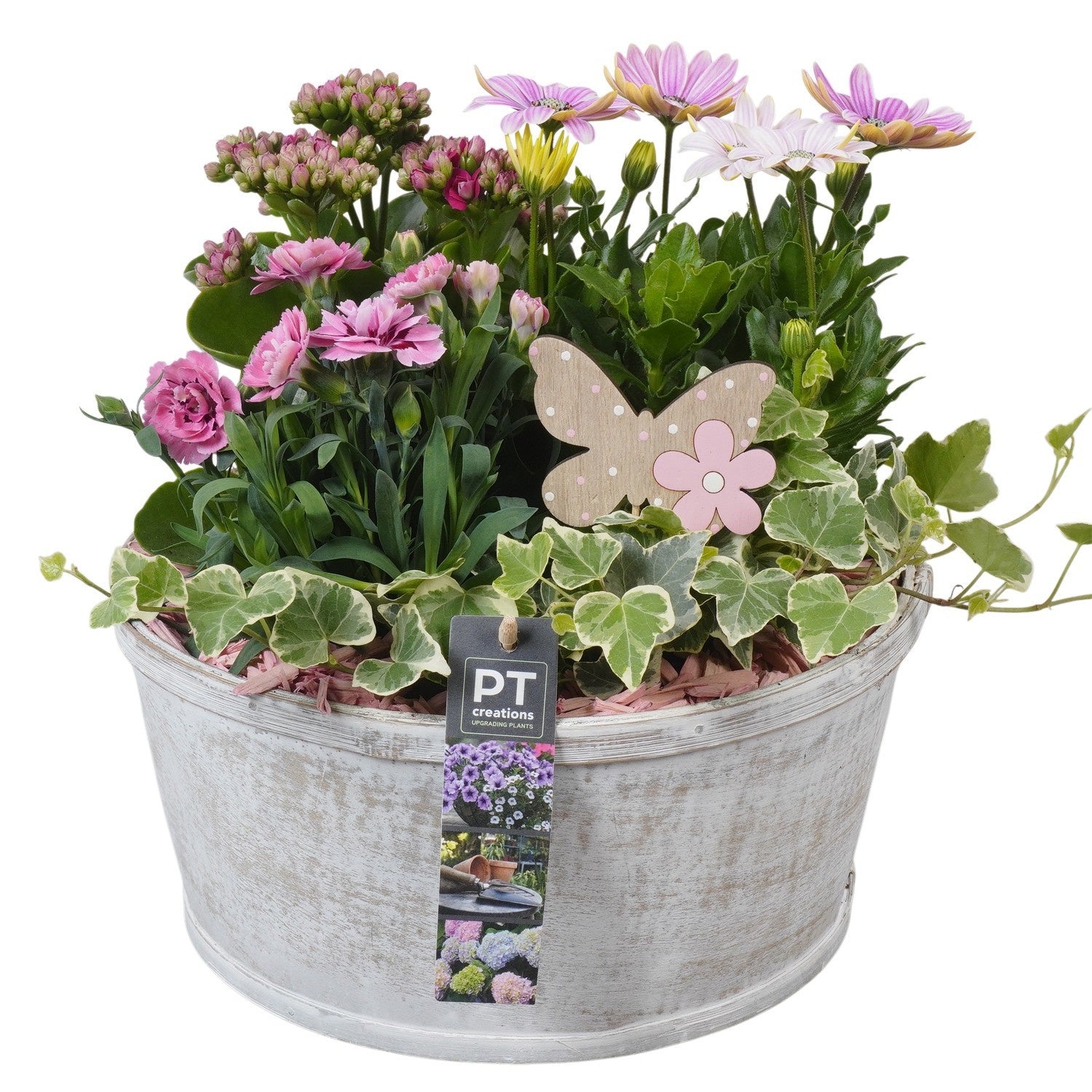 arr. PM196 28cm 25cm Pot