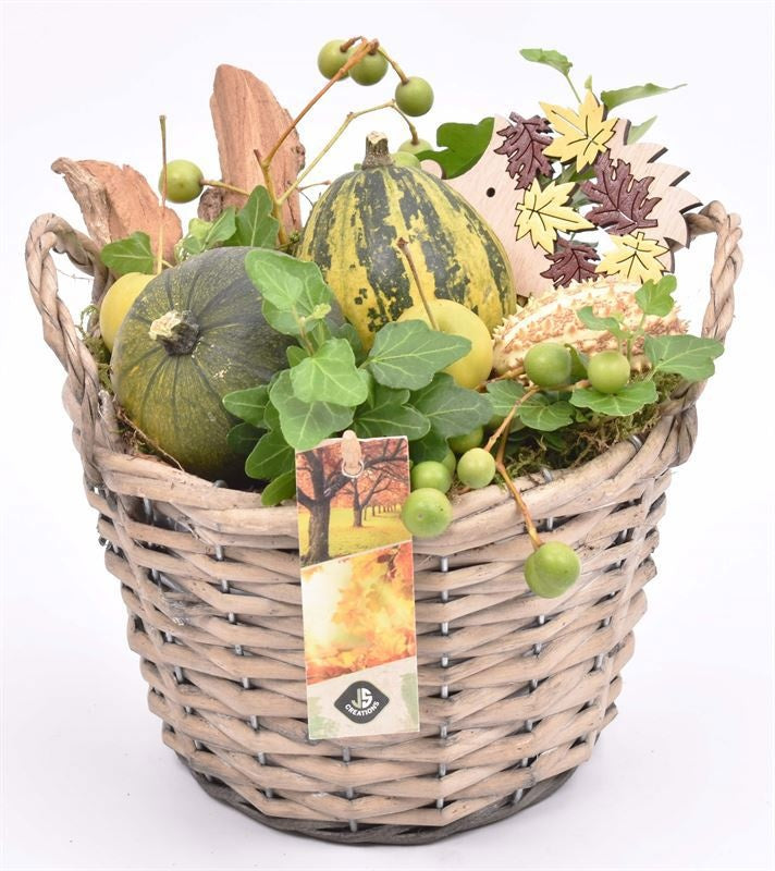 arr. Sierfruit 18cm Pot