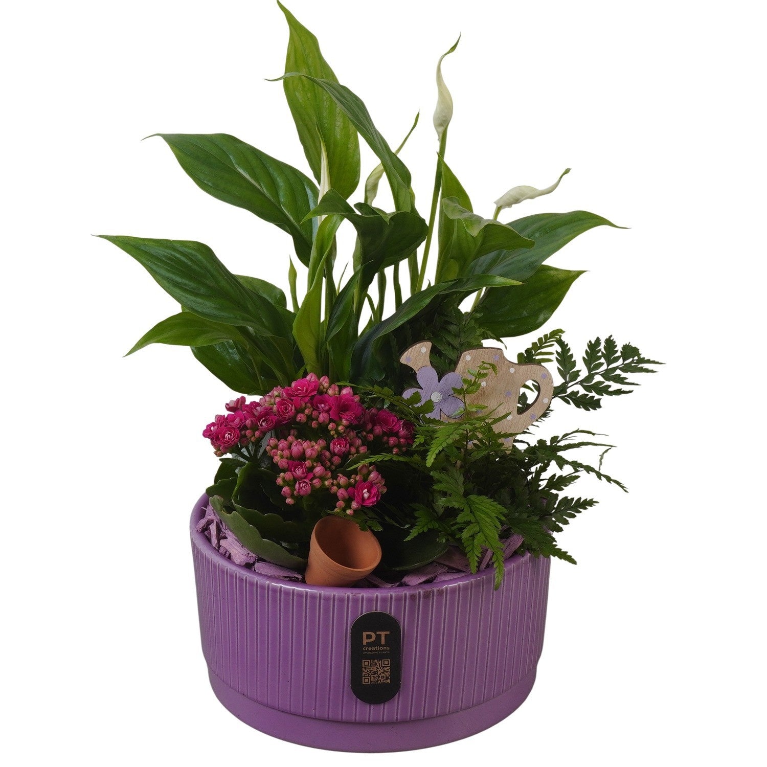 Indoor arrangement 36cm 19cm Pot