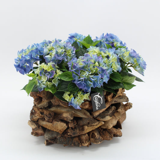 KHCR-2625B Hydrangea creatie 35cm 35cm Pot