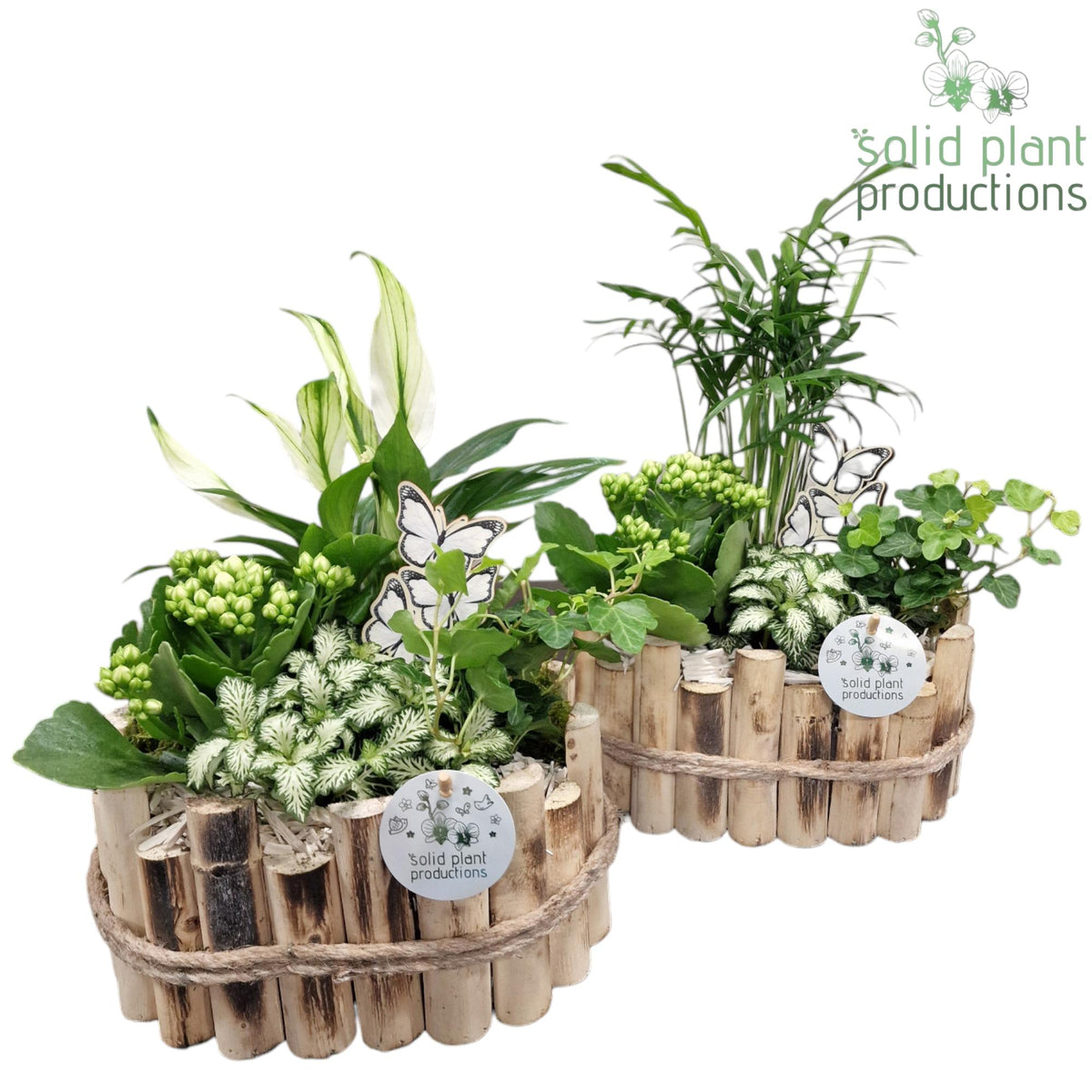 HSC003 Bologna Small White Mix 35cm 23cm Pot
