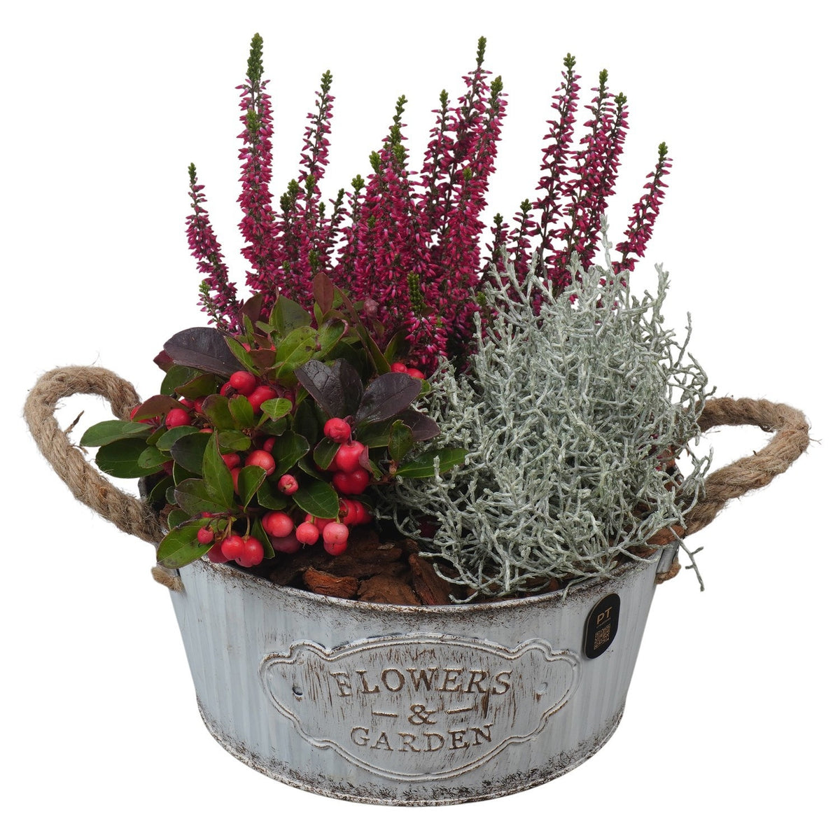 Outdoor arrangement 27cm 22cm Pot