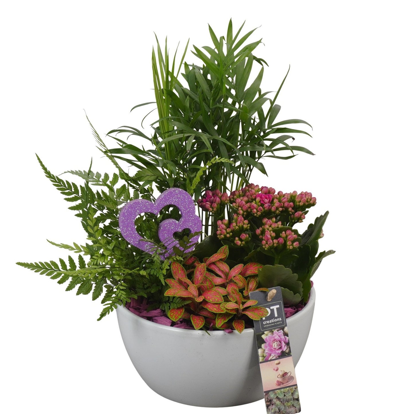 Indoor arrangement 32cm 18cm Pot