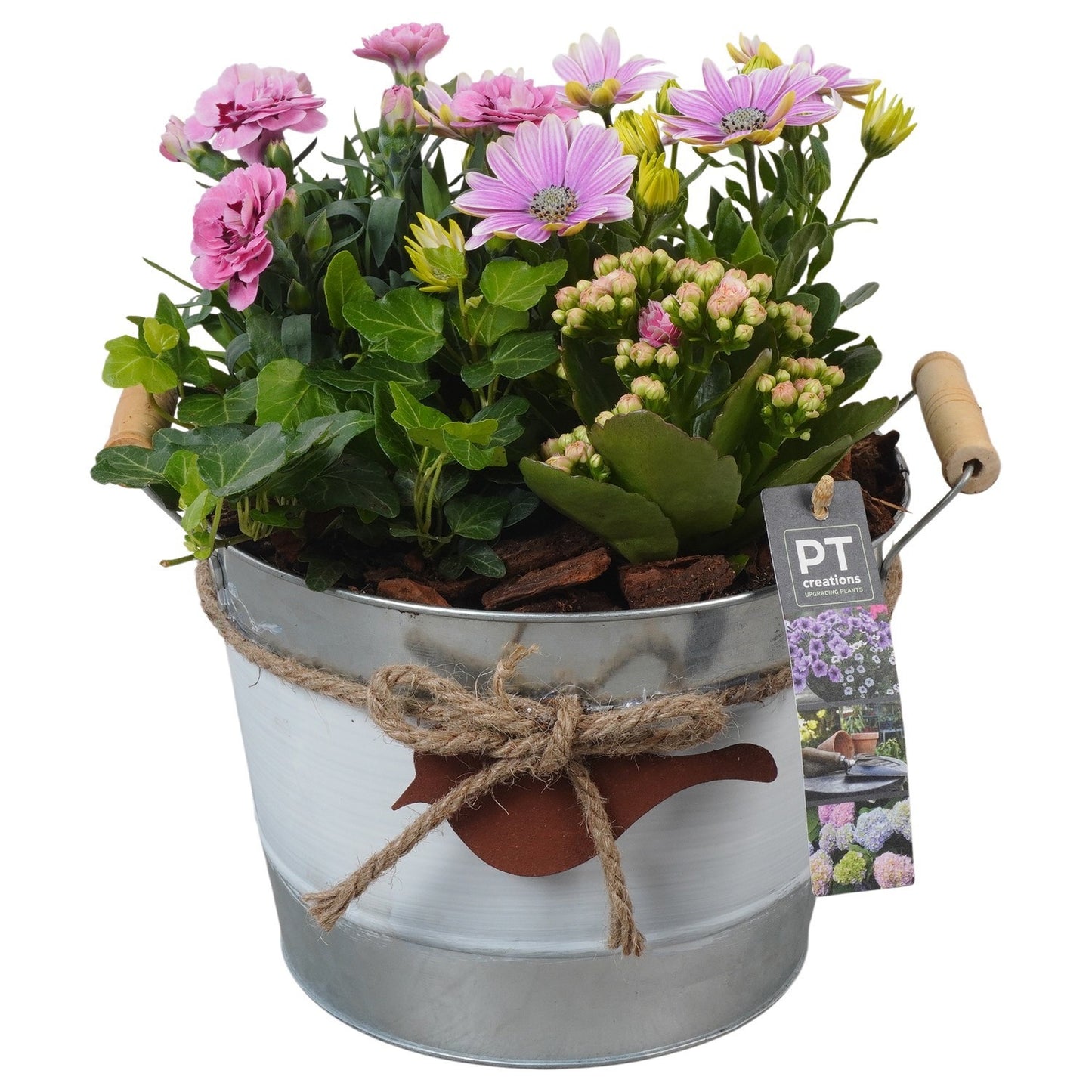 Outdoor arrangement 27cm 21cm Pot