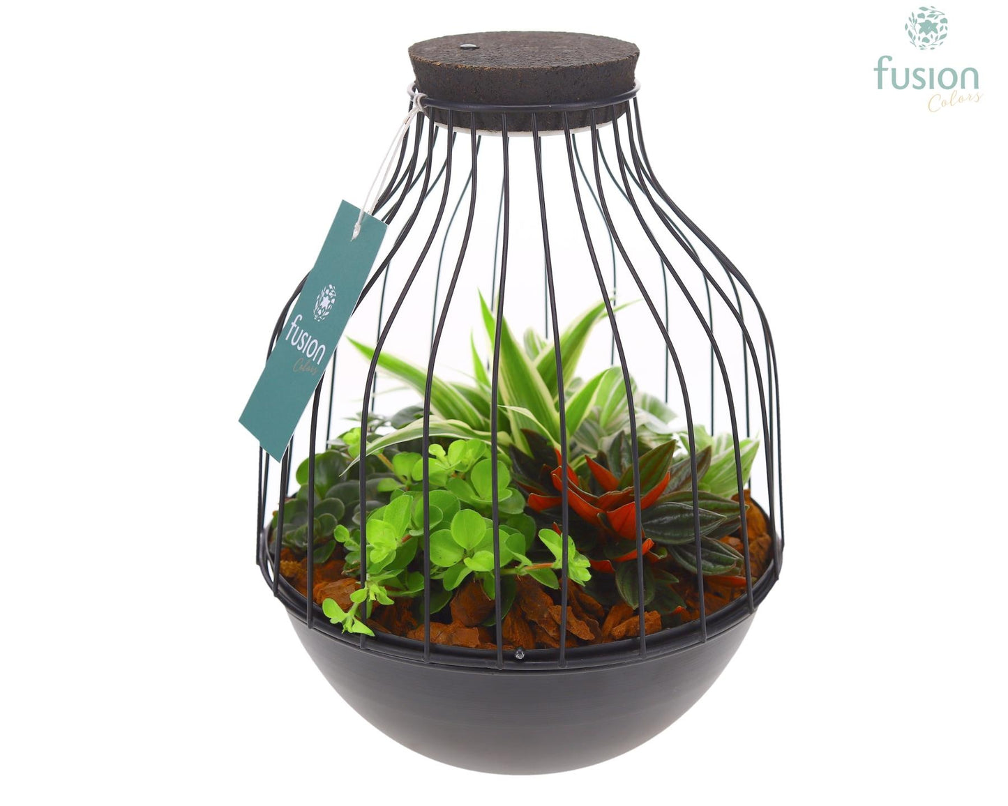 Metaal vogelkooi zwart Medium met groene planten 25cm 19cm Pot