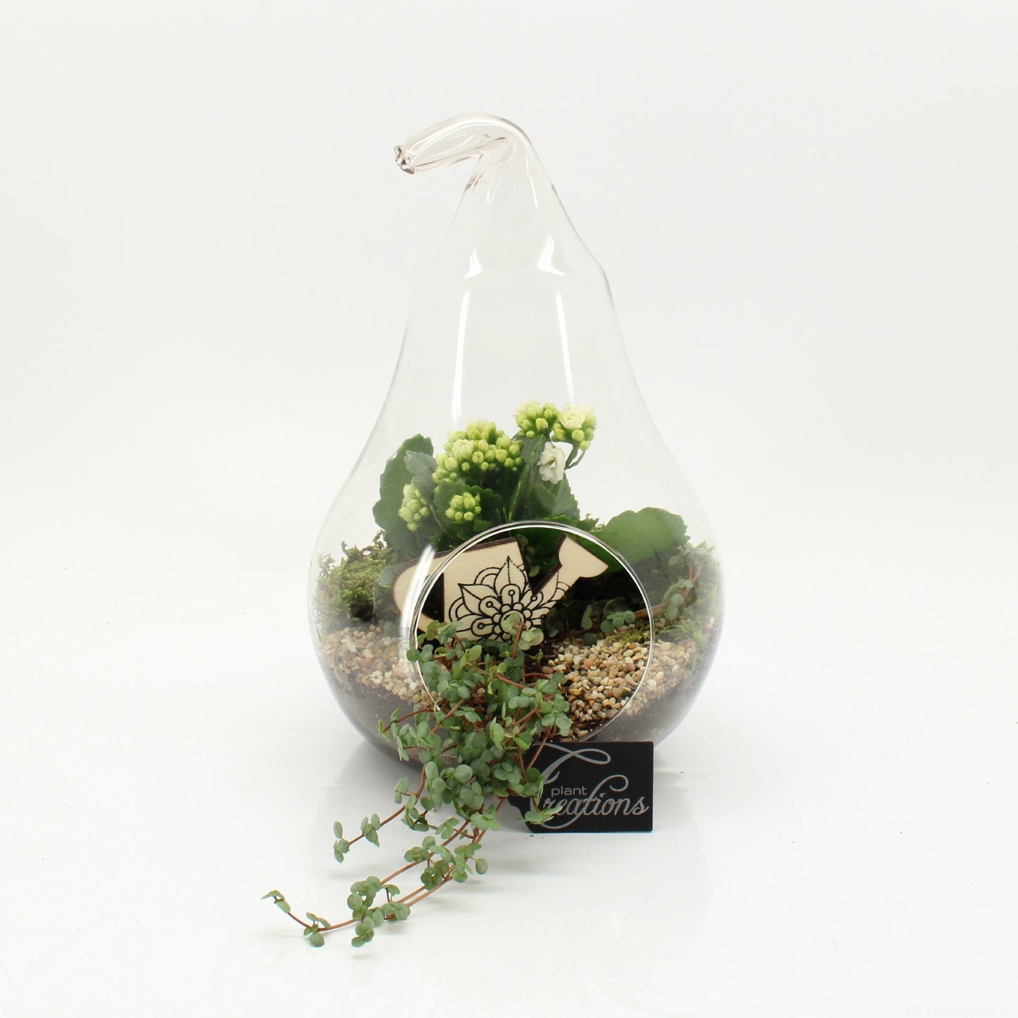 ESCR-2632W Essentials terrarium 30cm 18cm Pot