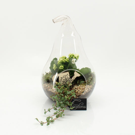 ESCR-2632W Essentials terrarium 30cm 18cm Pot